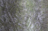 Tregorrick fibreglass roof work