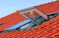 Tregorrick roof window